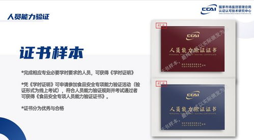 企業設立食品安全總監，守護人民群眾“舌尖上的安全”——餐飲企業管理的核心與實踐